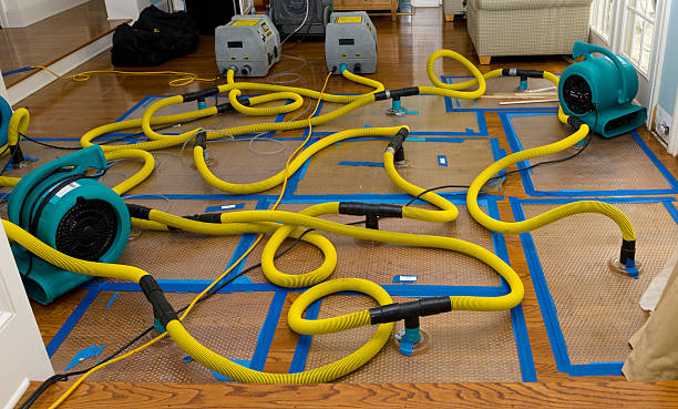 Professional Structural Drying And Dehumidification technician working in Tad, WV